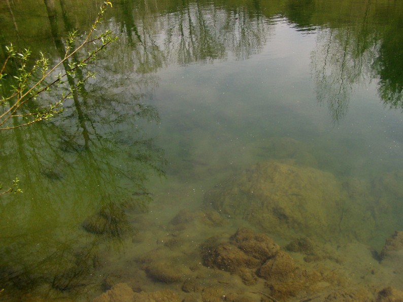 Valle del Farma e Stagno della Troscia: luoghi meravigliosi!